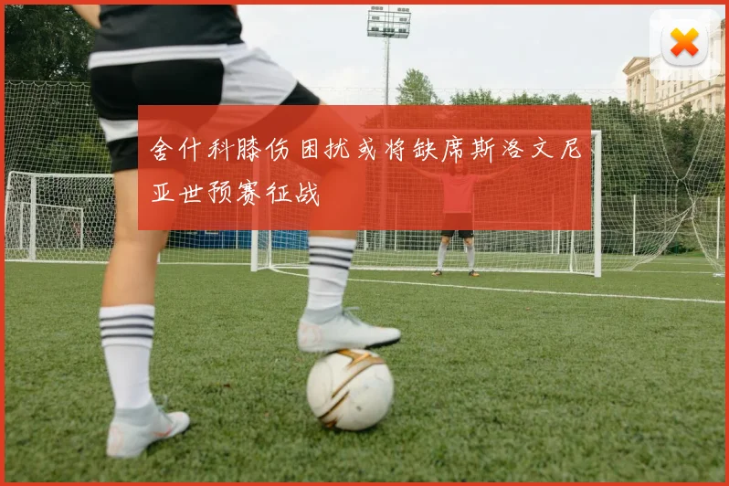 舍什科膝伤困扰或将缺席斯洛文尼亚世预赛征战